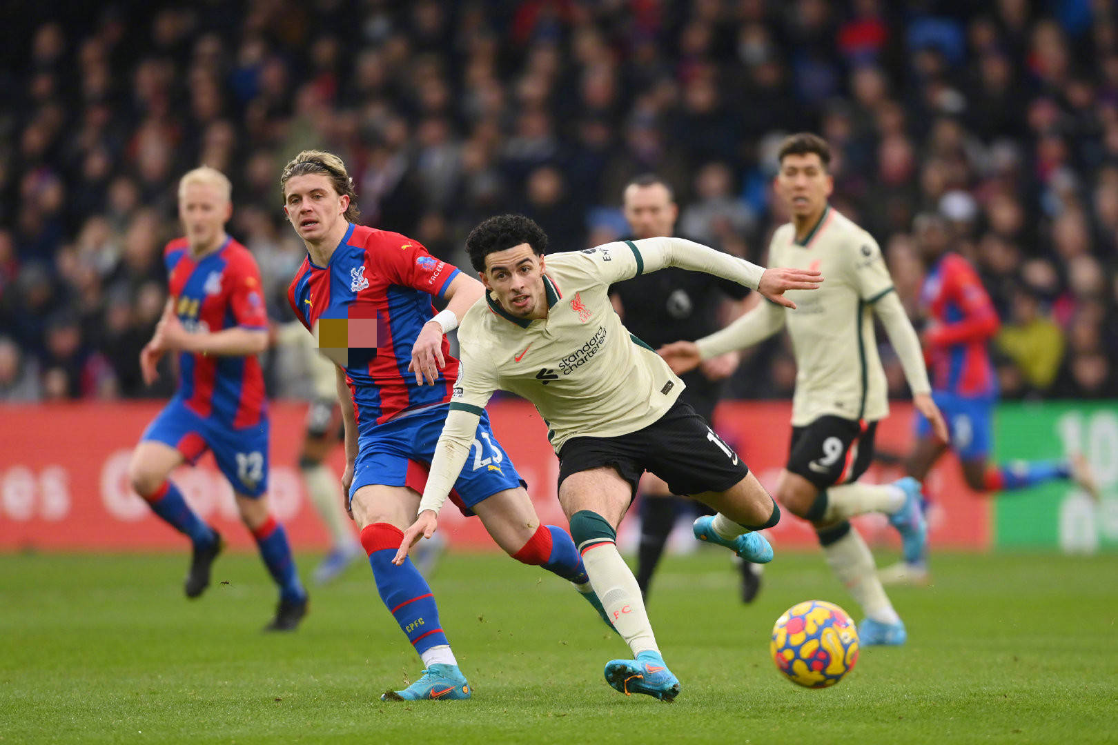 给球迷们带 给球迷们带